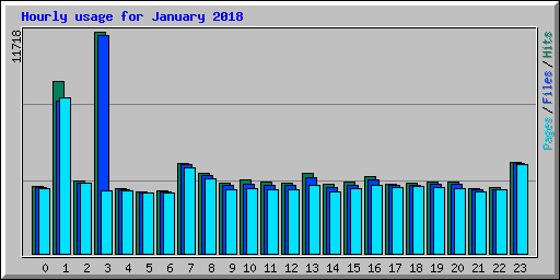 Hourly usage for January 2018